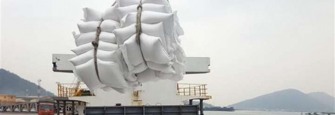Doanh nghiệp xuất khẩu chính thức có "giấy thông hành" đưa gạo vào EU